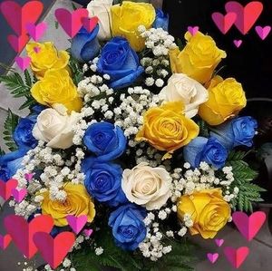 Meet your Posher, Tina